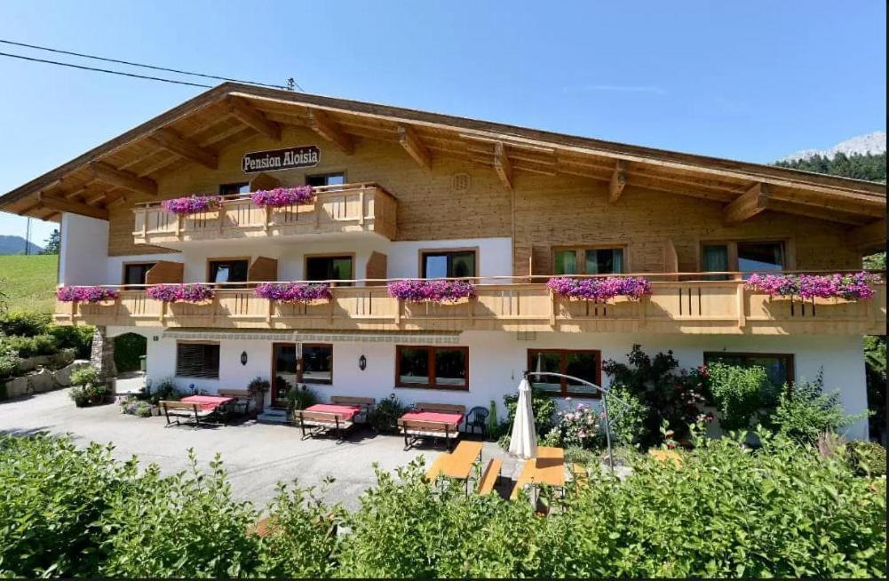 Pension Aloisia Scheffau am Wilden Kaiser Exterior foto
