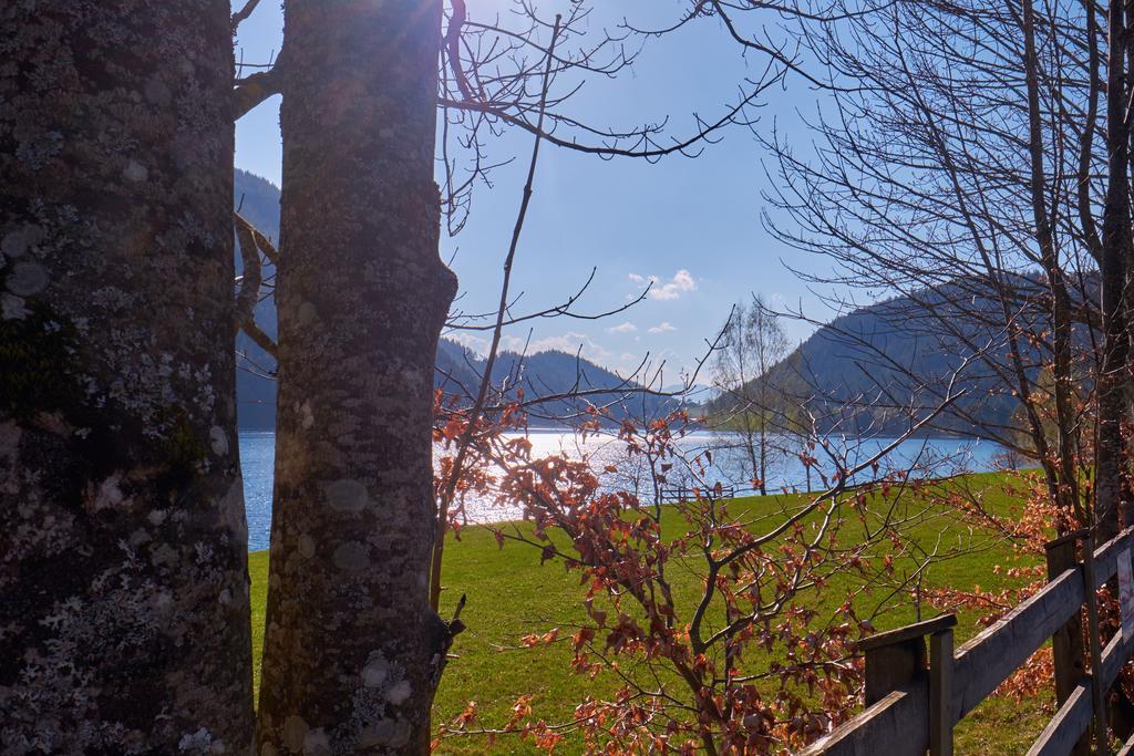 Pension Aloisia Scheffau am Wilden Kaiser Exterior foto
