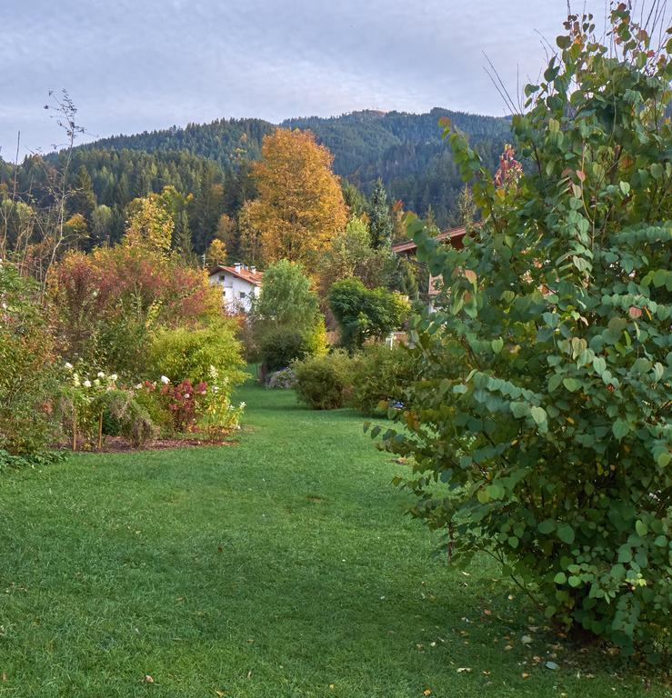 Pension Aloisia Scheffau am Wilden Kaiser Exterior foto